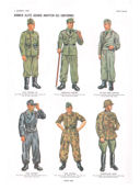 Plate XVIII: Amed Elite Guard (<i>Waffen-SS</i>) Uniforms