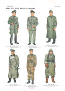 Plate XIX: Amed Elite Guard (<i>Waffen-SS</i>) Uniforms