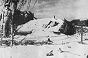 Fig. 111. Japanese field fortifications