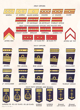 PLATE VII.--INSIGNIA OF RANK