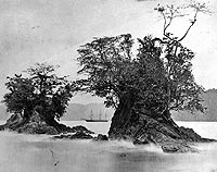 Photo #  NH 64694:  USS Nipsic in Limon Bay, Panama, 1870