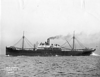 Photo # NH 65126:  S.S. Panuco, 1917