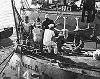 Photo # NH 71572:  Crewmembers doing laundry and relaxing on board USS Tarbell, circa 1919-1922