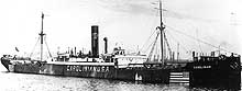 Photo #  NH 89787:  SS Carolinian wearing World War I neutrality markings, 1917