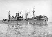 Photo # NH 98708:  USS Cape Johnson in San Francisco Bay in late 1945 or early 1946.