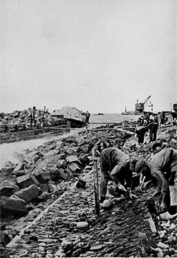 Repairing a dyke.