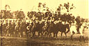 1 Field Squadron