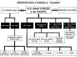 Plate No. 116, Organization of Forces for OLYMPIC