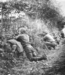 Hedgerow Position in the Cotentin