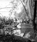 MEMBERS OF A PATROL CROSSING A RIVER on Bougainville
