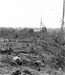 THE SOUTHEAST SLOPE OF 'BLOODY HILL' after the last enemy had been routed