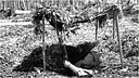 Infantryman watching aircraft from his camouflaged foxhole