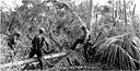 MEN SEARCHING FOR SNIPERS as they move inland from the beachhead on D Day, 20 November