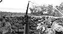 Type 93, 13.2-mm. machine gun mounted on a naval-type pedestal