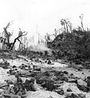 MARINES PINNED DOWN BY ENEMY FIRE on Peleliu Island