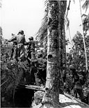 ADVANCING INLAND ON BIAK; note cave beneath footbridge