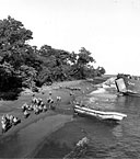 INFANTRYMEN MOVING ALONG THE BEACH at Cape Sansapor on 31 Jul