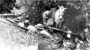 Filipino guerrillas fighting against the enemy in Batangas Province with the U.S. troops