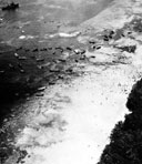 SURVIVORS OF THE SS PRESIDENT COOLIDGE
