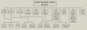 Fleet Marine Force, Pacific