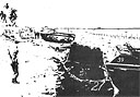 Figure 21. Another grim view of the beach at Tarawa. LVT number 
twenty-sevenmay be the mine casualty mentioned in 2d 
Amtrac Battalion Special Action Reports. The pier, which 
figured in the action during D-Day and after is in the background.