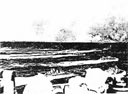 Figure 31. The first waves of LVT(4)s head for beaches at Iwo Jima