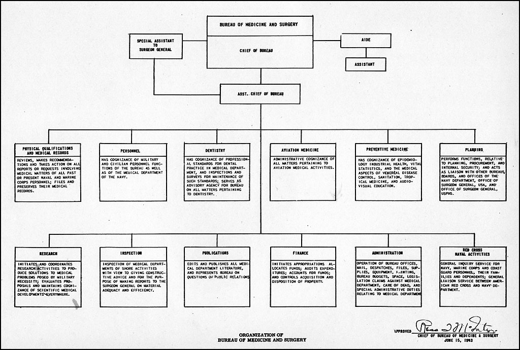 Bumed Organizational Chart