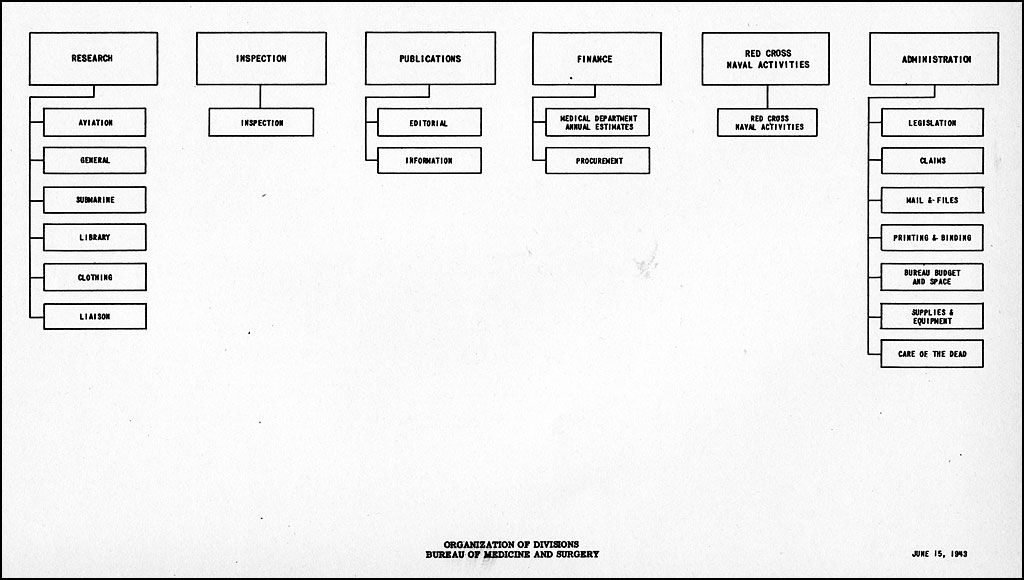 Bumed Organizational Chart