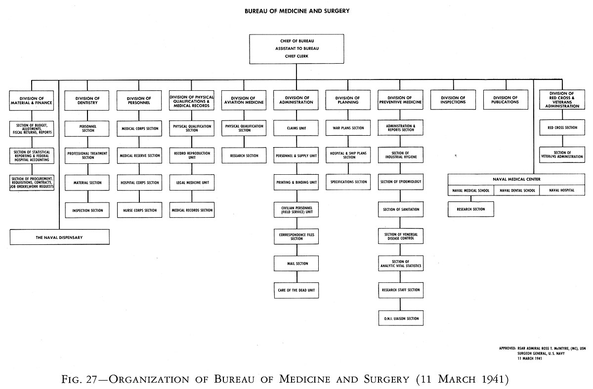 Bumed Organizational Chart
