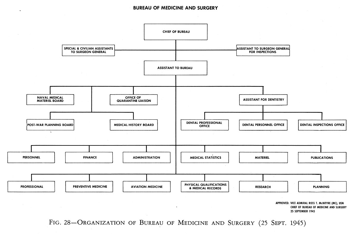 Bumed Organizational Chart