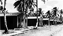 Wards of Fleet Hospital No. 115, Guam
