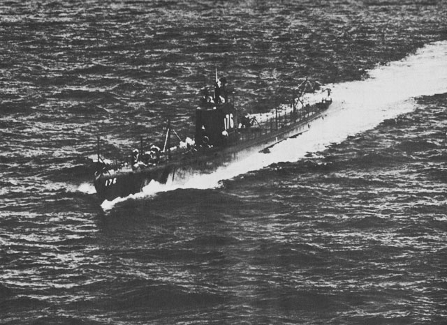 Perch running on the surface