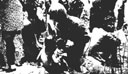 Figure 126.--Hospital corpsmen with a Marine division on Saipan administering first aid to civilians.