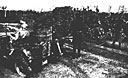 Figure 80.--Natives under supervision of Malaria Control Unit personnel oiling the pools on Munda, New Georgia.