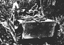 Figure 83.--Transportation of dead and wounded via amphibious tractor from the front lines on Bougainvillea.