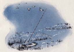shooting ducks