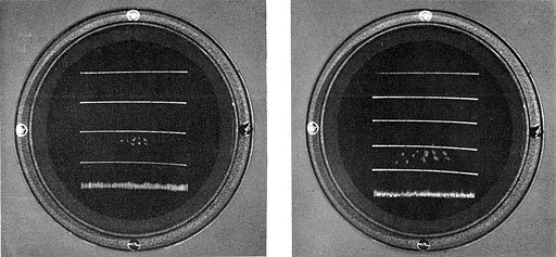 Figure 2-53