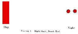 Figure .4--Right flank, Beach Red.