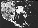 Skeg, Rudder, Screw, and Maneuvering Rudder of The LCVP