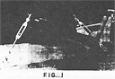 Fig. I