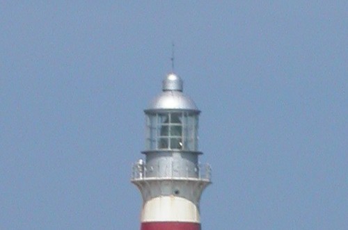 Caimán Grande Lens