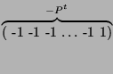 $ \overbrace{(\textrm{
-1 -1 -1 $\hdots$\ -1 1})}^{-P^t}$