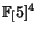$ \FF[5]^4$