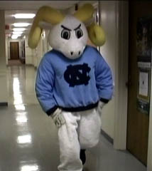 Rameses walking to work...