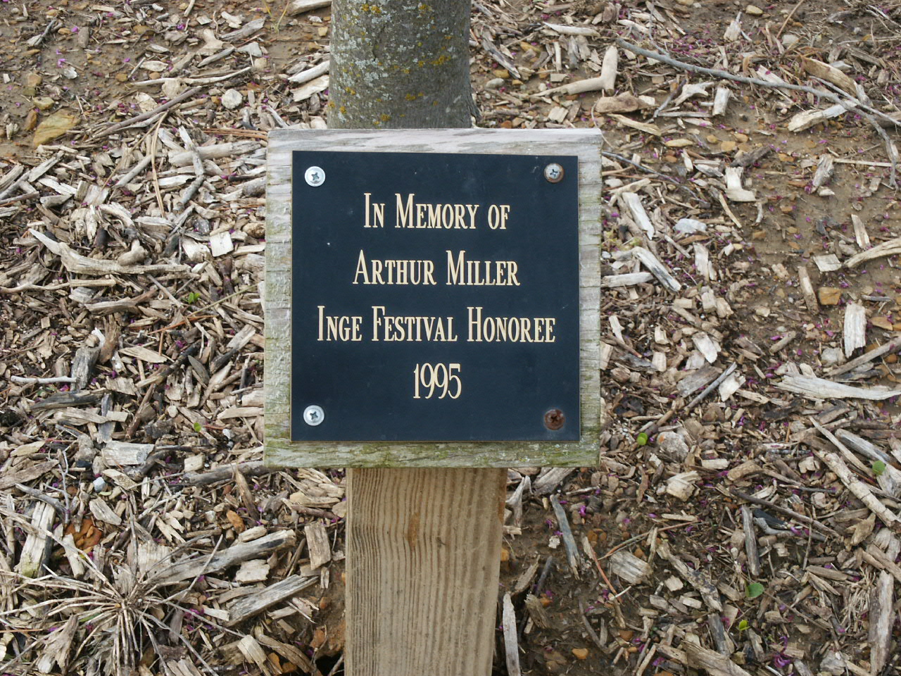 plaque