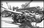 Salvaged Broadside Guns