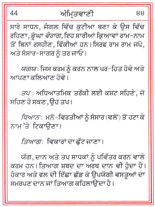 trip meaning in punjabi