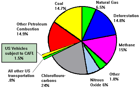 Percent Of Worldwide Man Made Greenhouse Gases