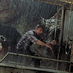 Color Photo